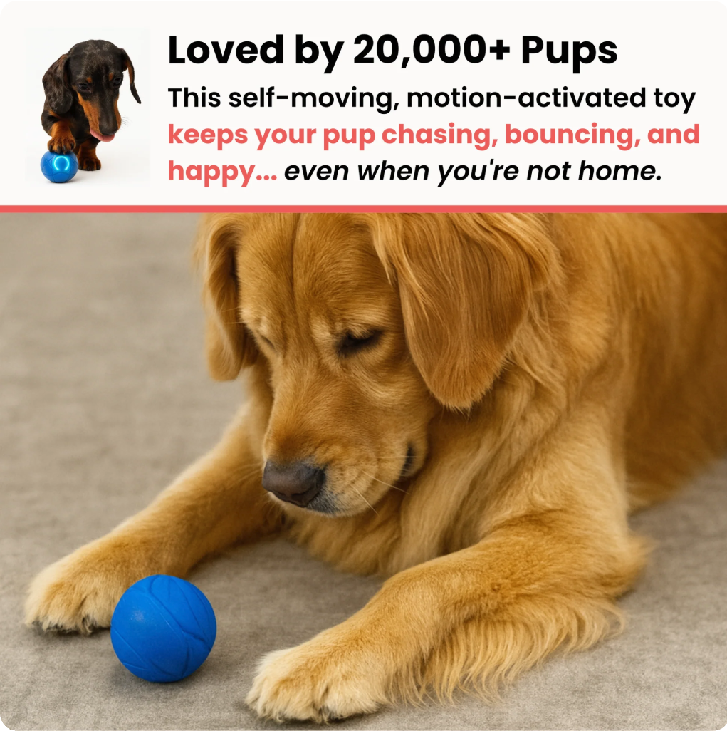 ZoomieBall