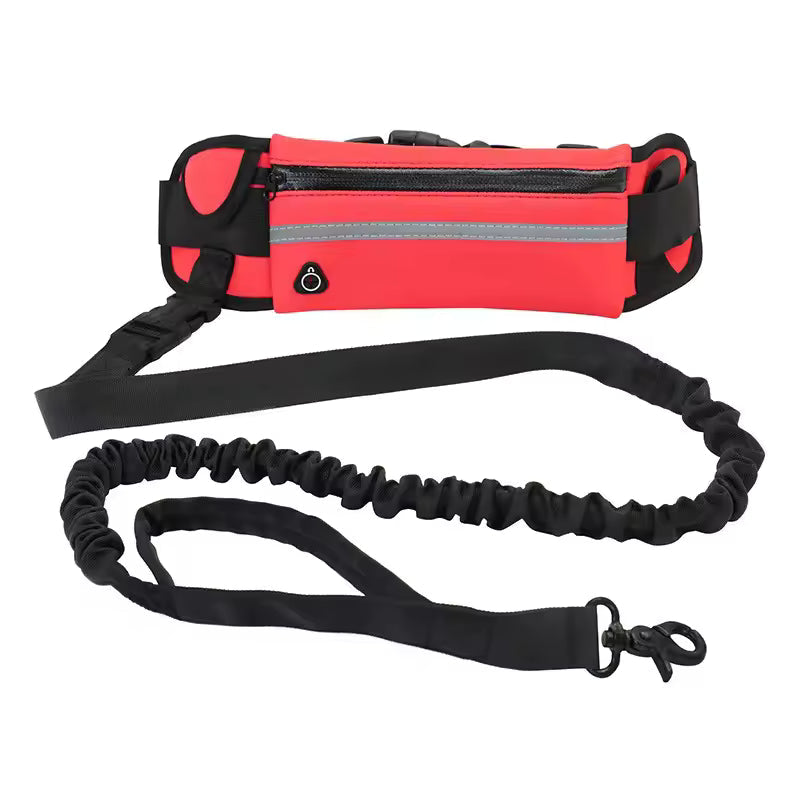 Hands Free Leash