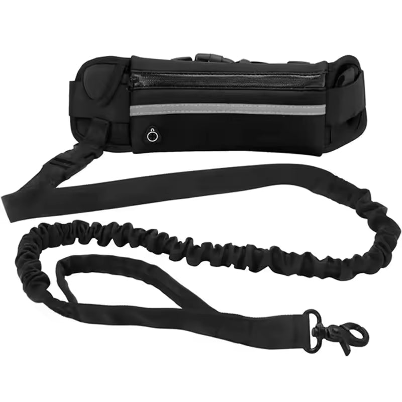 Hands Free Leash